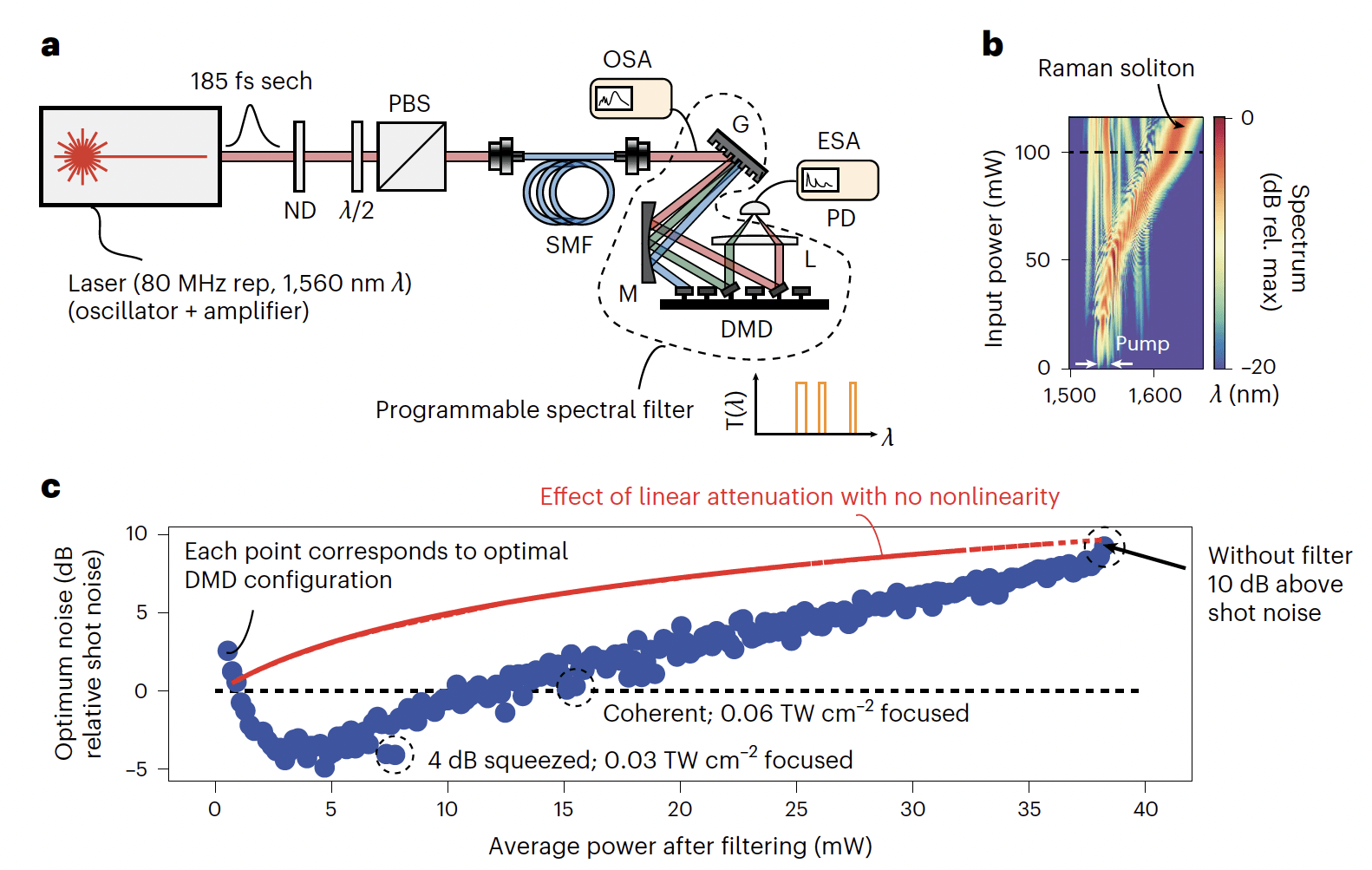 Noise-immune quantum correlations experiment schematic