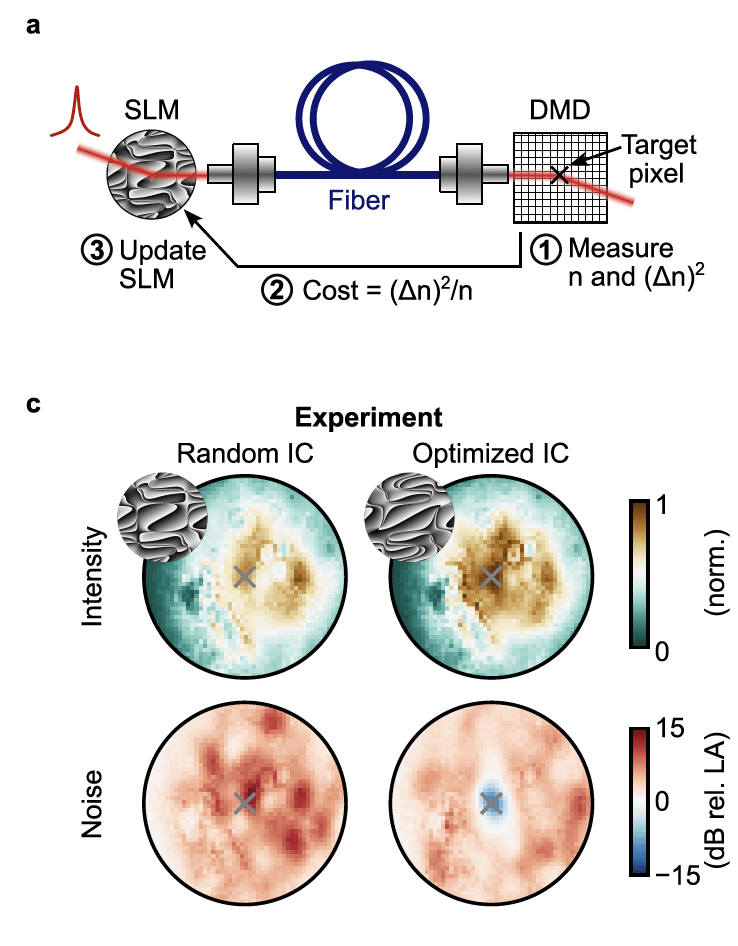 Programmable control and optimization of quantum noise